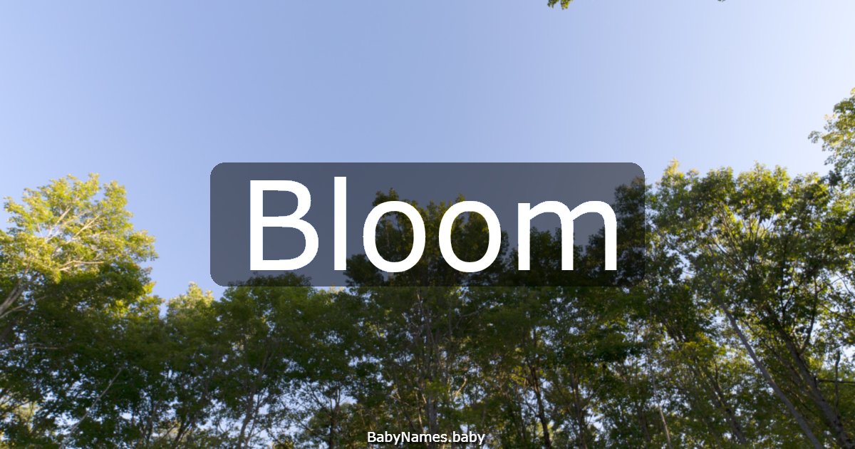 Bloom