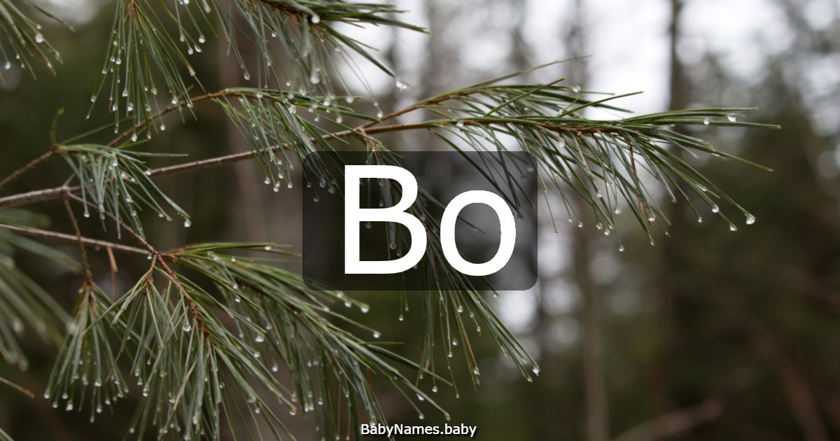 Bo