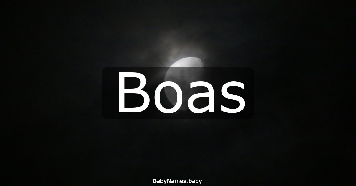 Boas