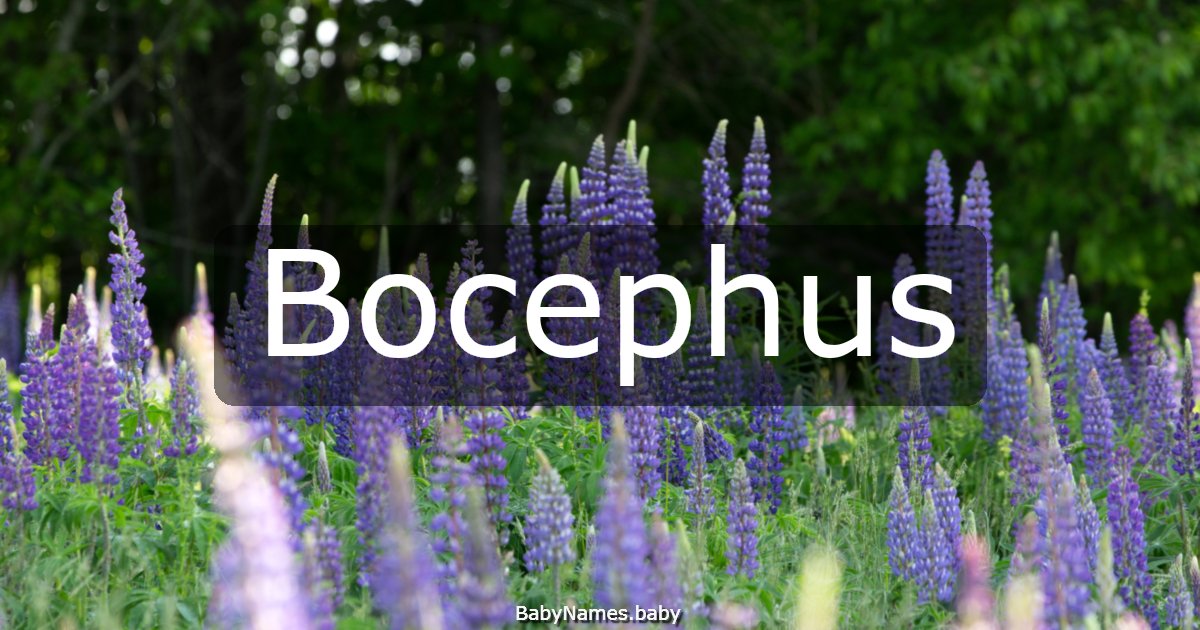 Bocephus