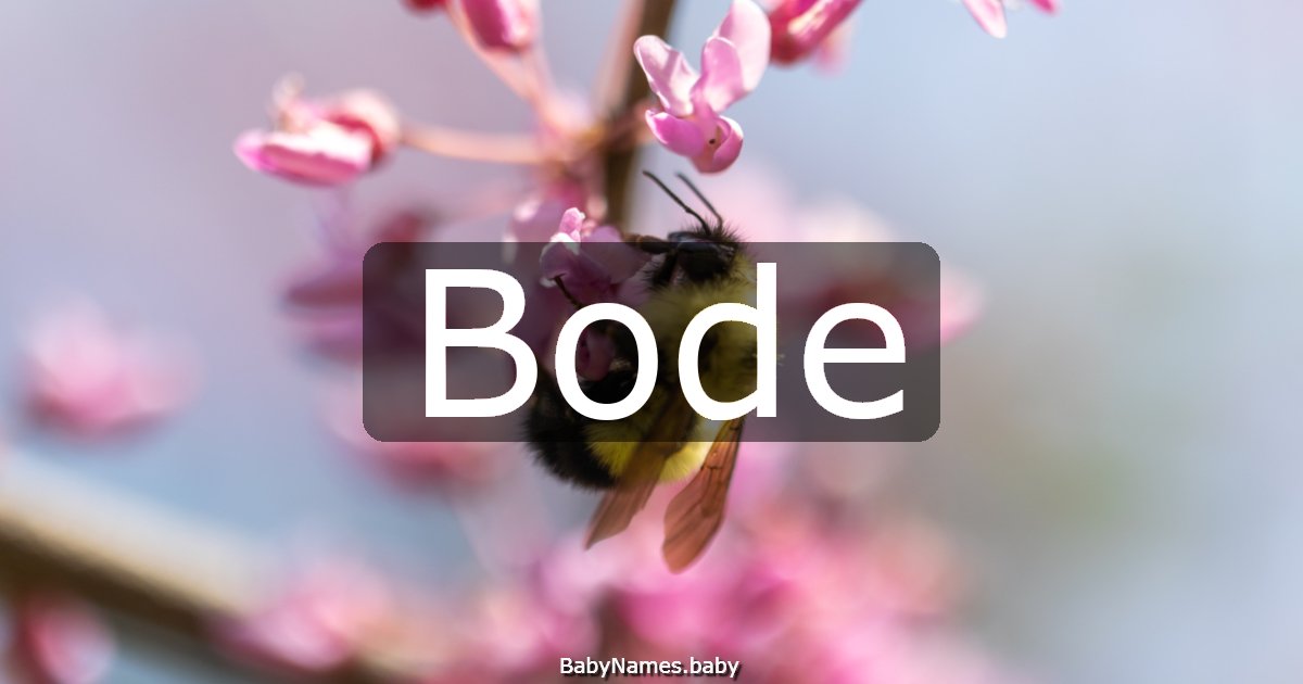Bode