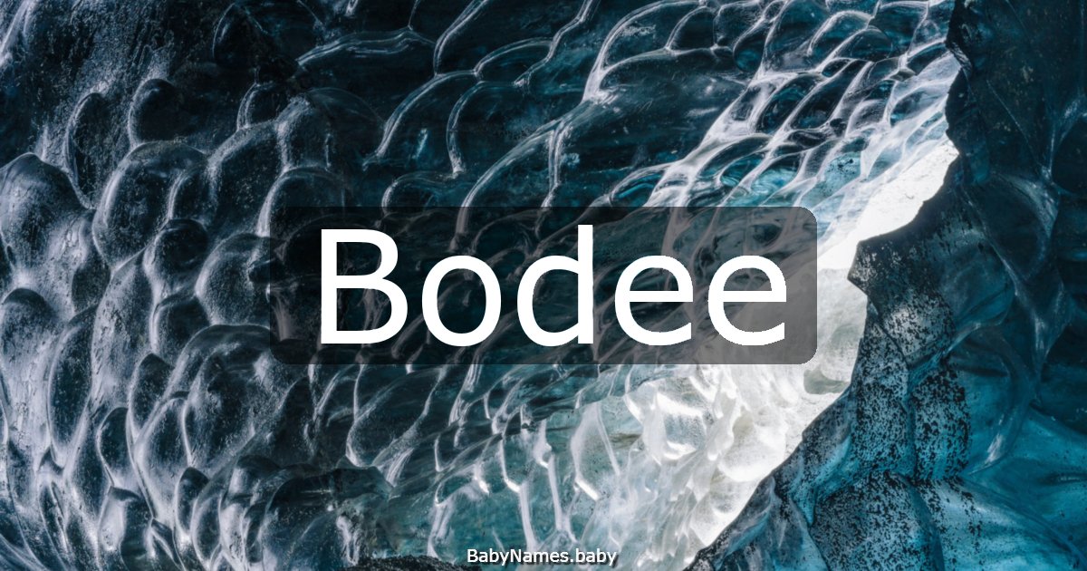 Bodee