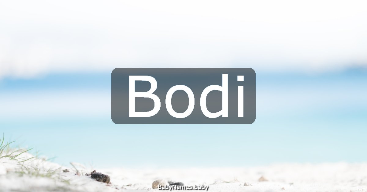 Bodi