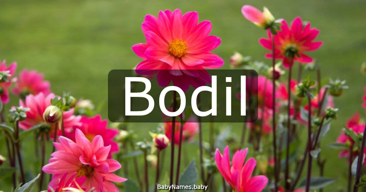 Bodil