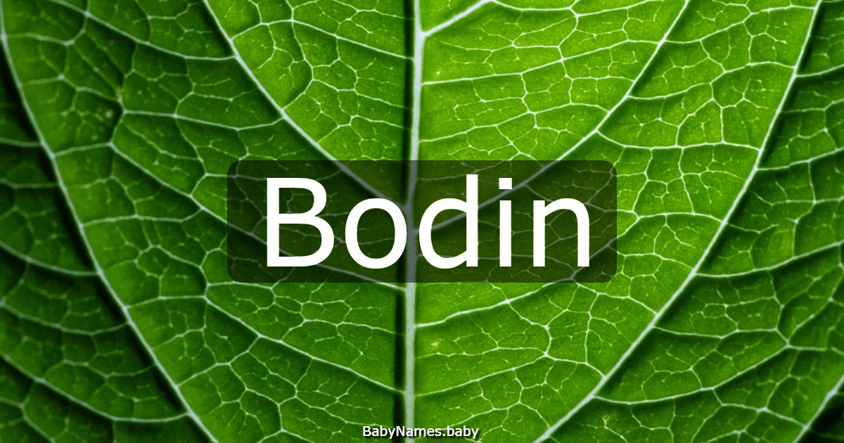Bodin
