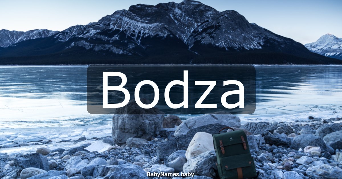Bodza