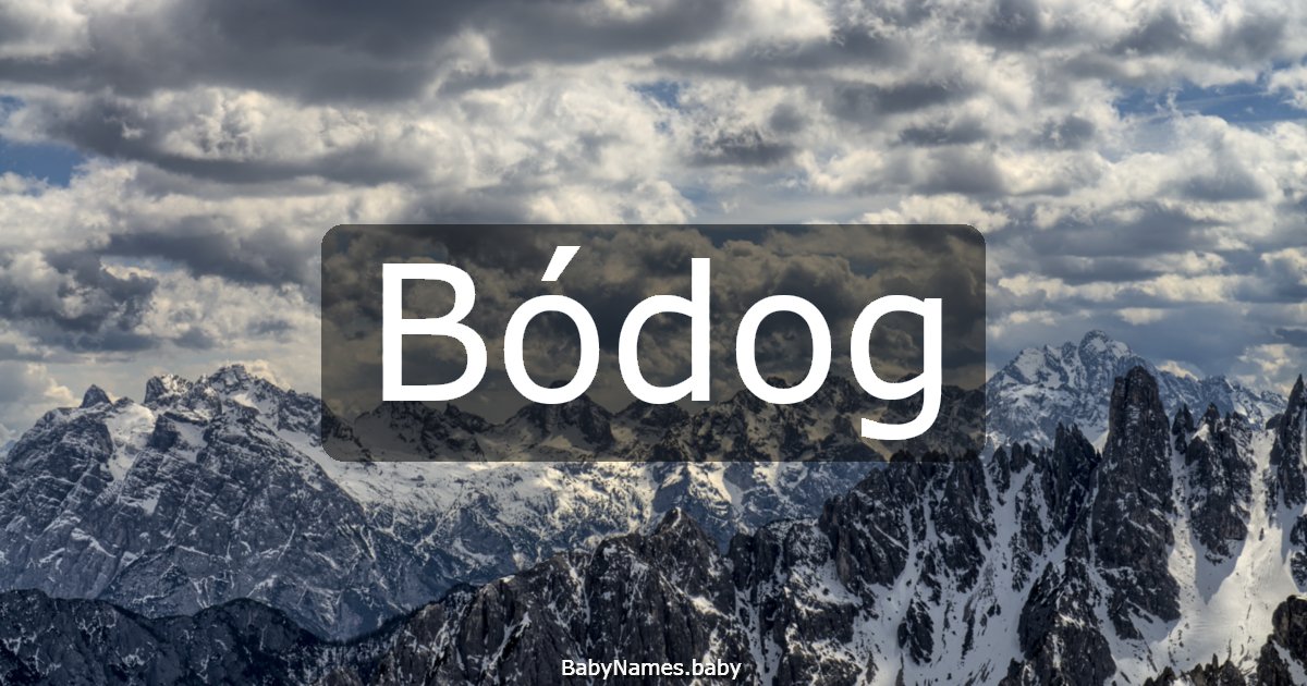Bódog