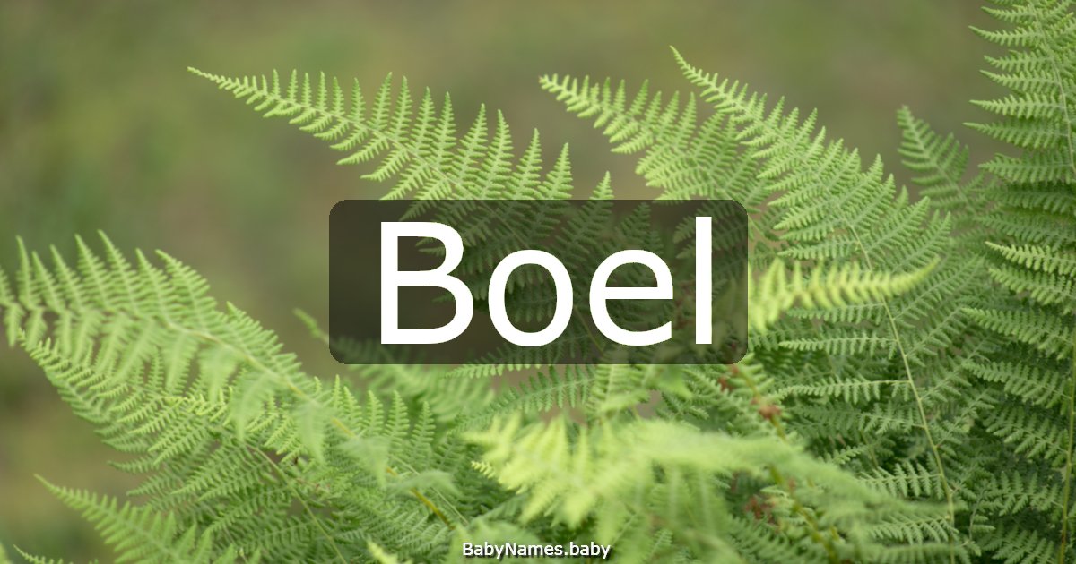 Boel