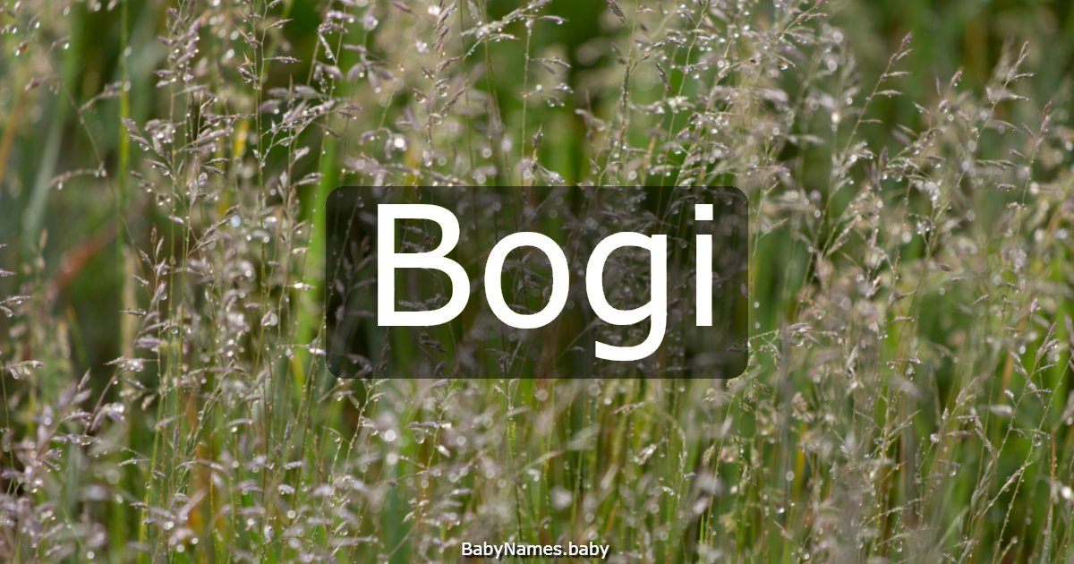 Bogi