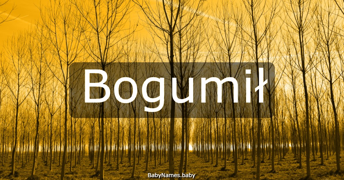 Bogumił