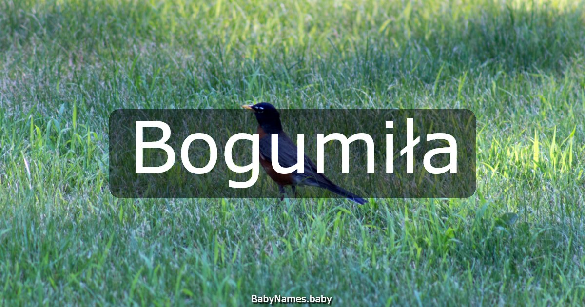 Bogumiła