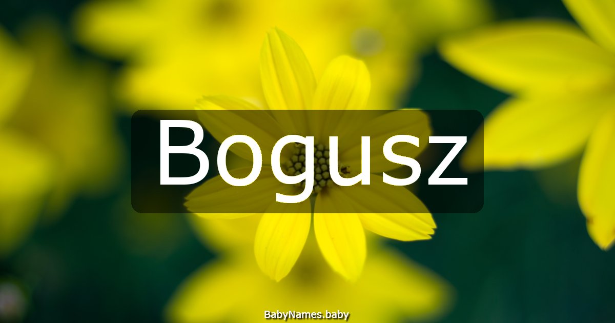 Bogusz
