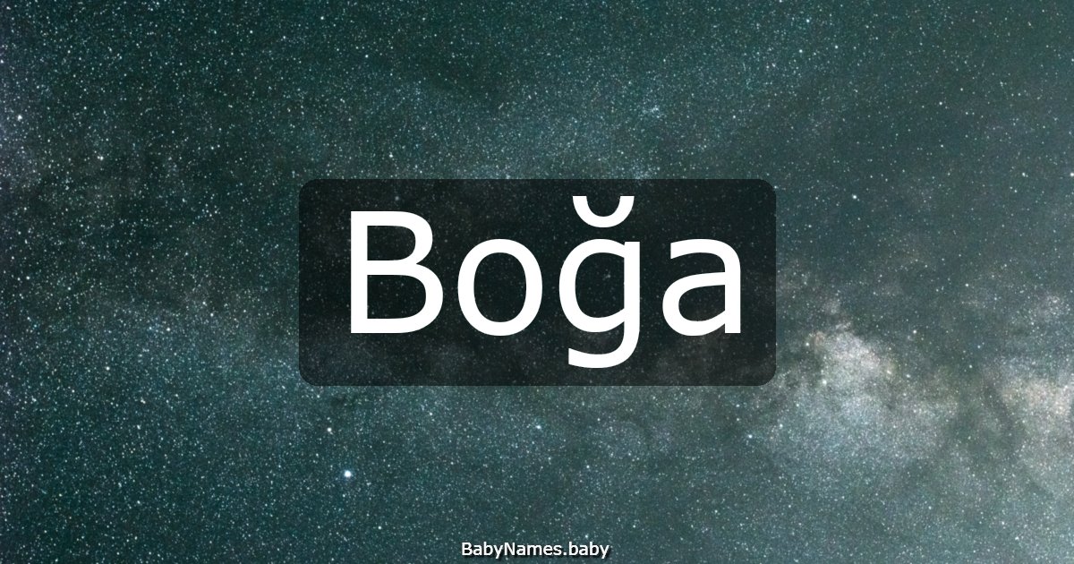 Boğa