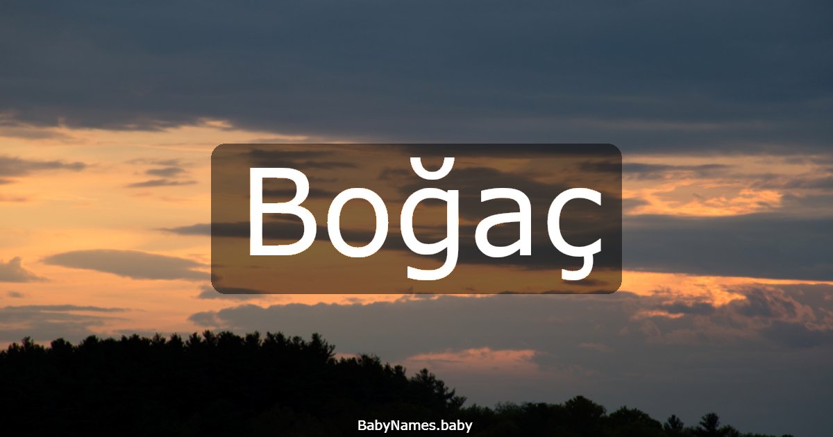 Boğaç