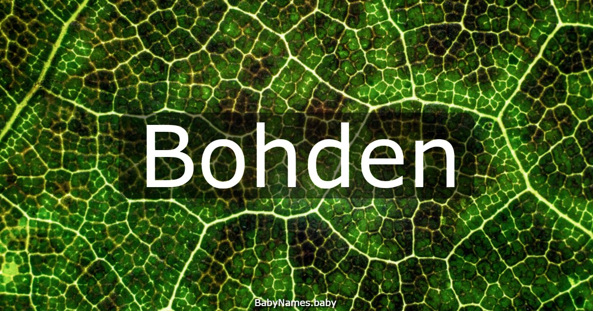 Bohden