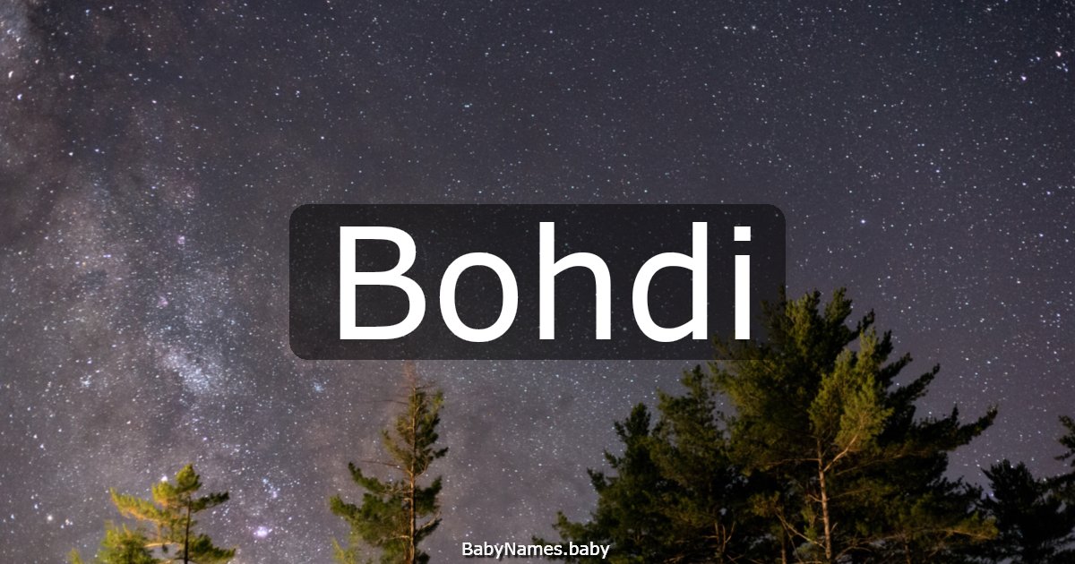 Bohdi