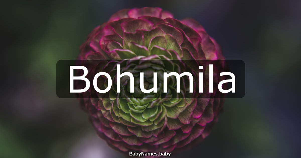 Bohumila