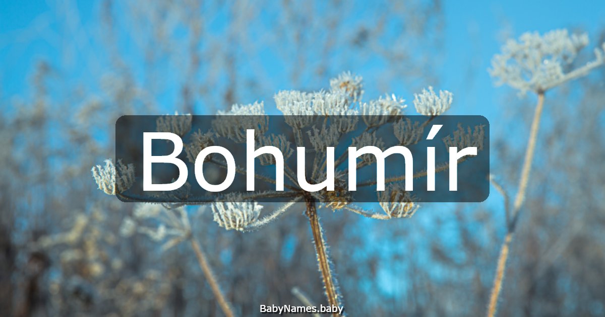 Bohumír