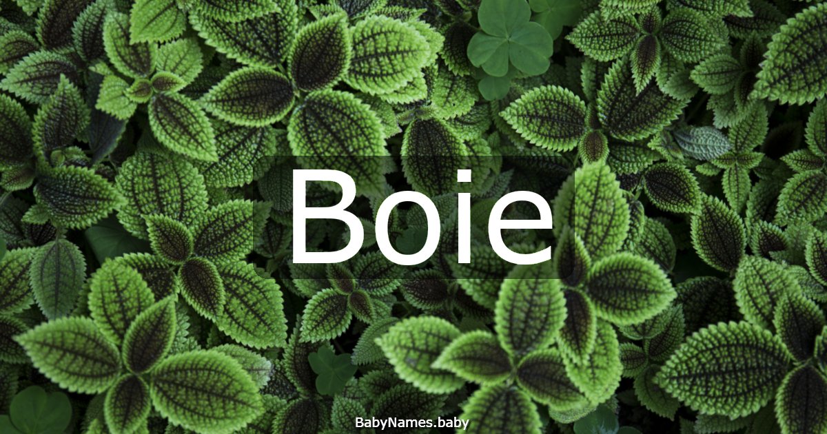 Boie