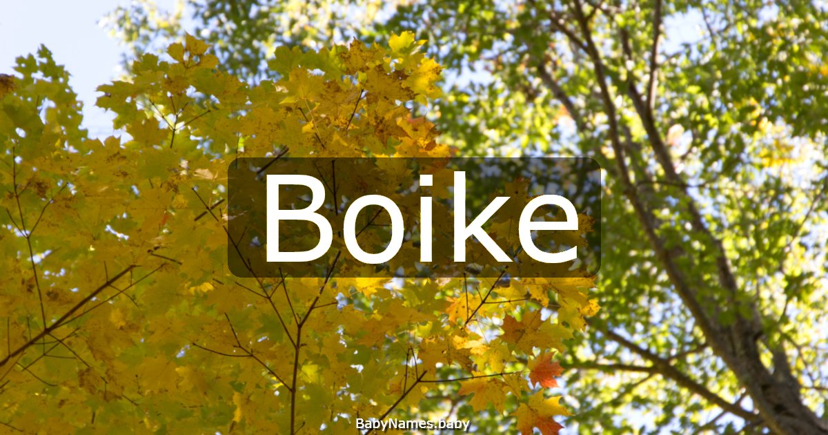 Boike