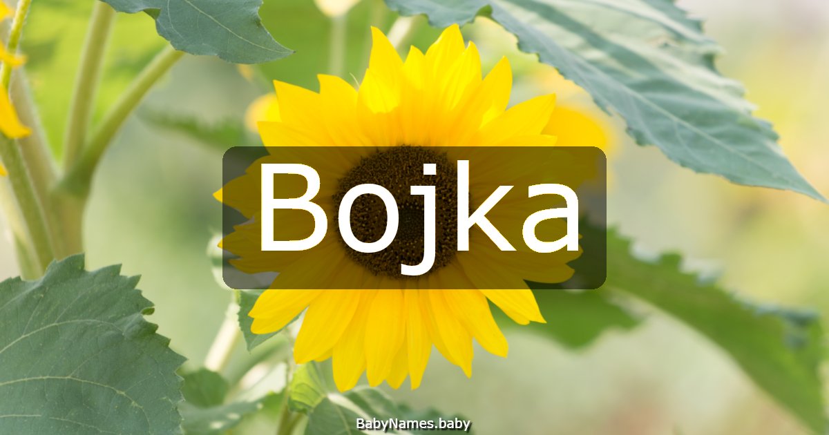 Bojka