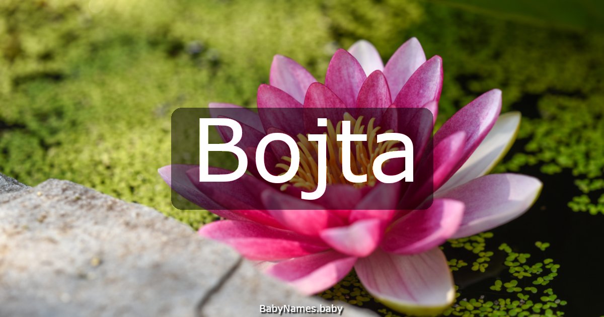 Bojta