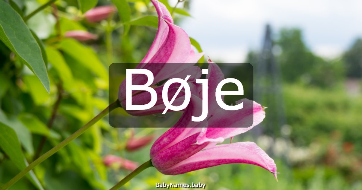Bøje