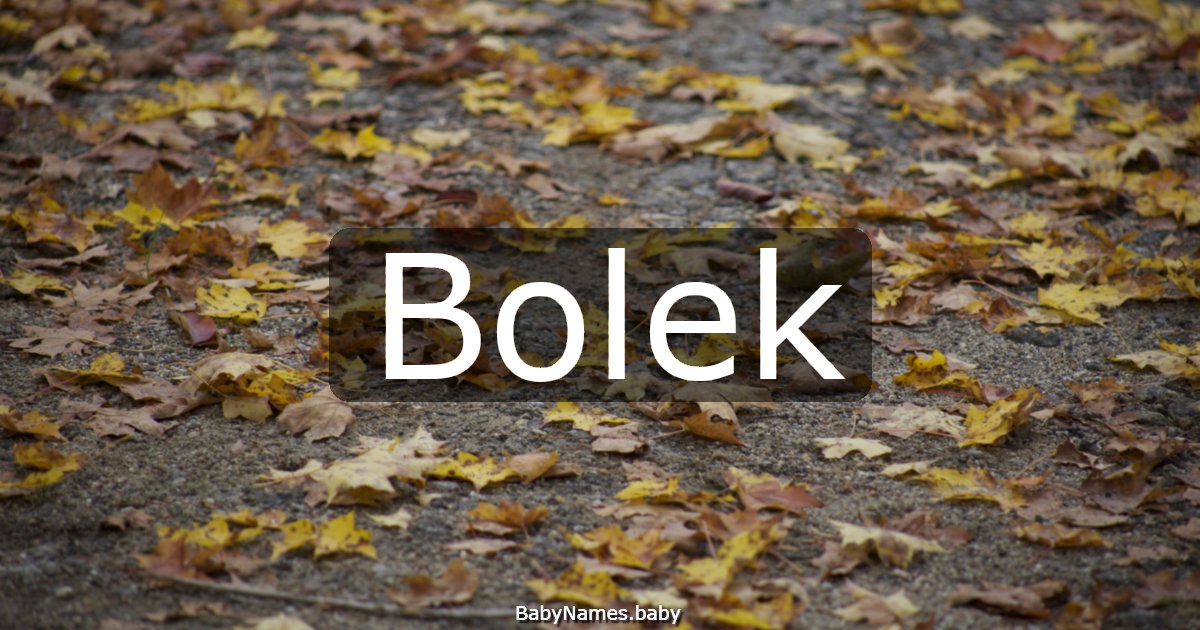 Bolek