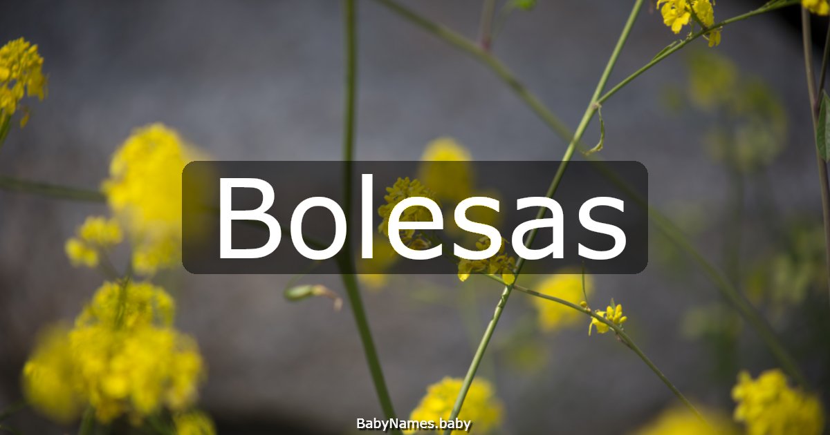 Bolesas