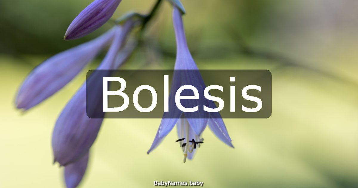 Bolesis
