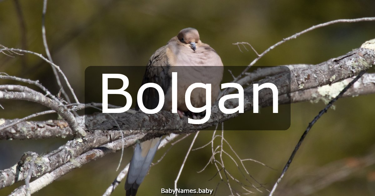 Bolgan
