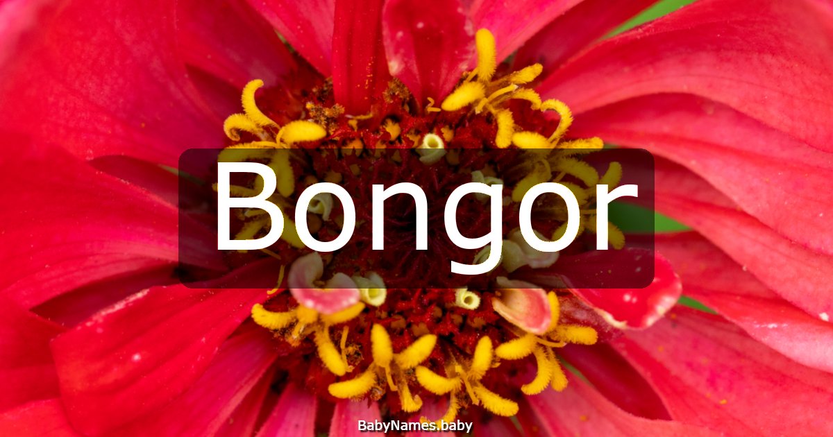 Bongor