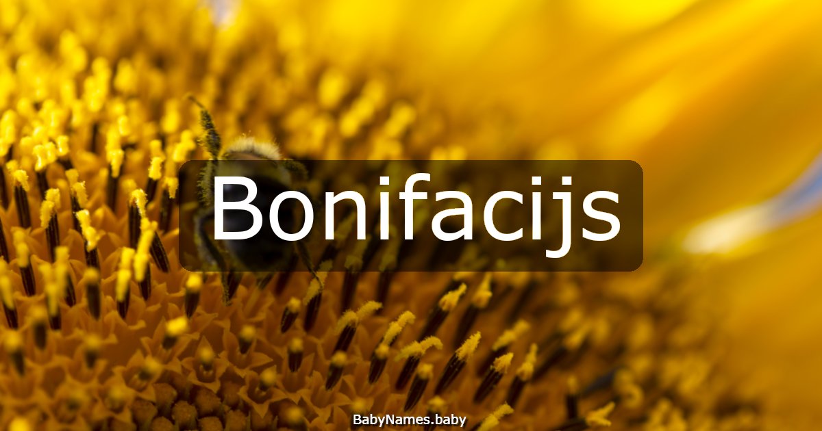 Bonifacijs