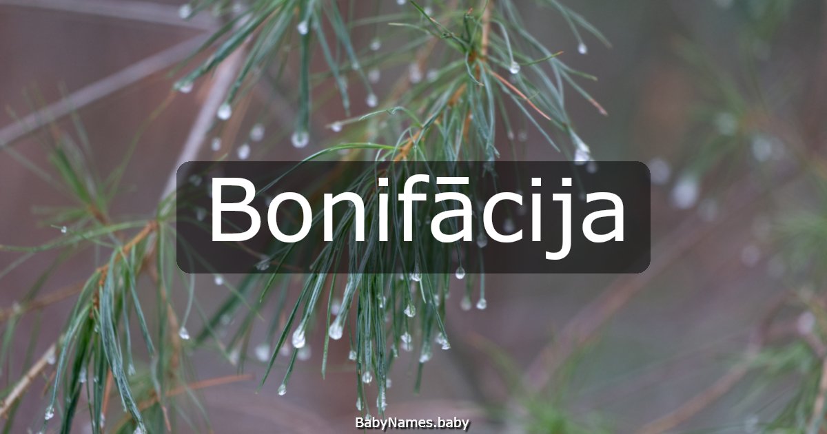 Bonifācija