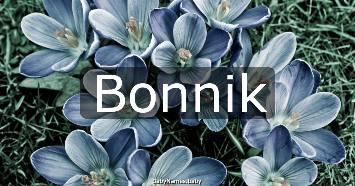 Bonnik