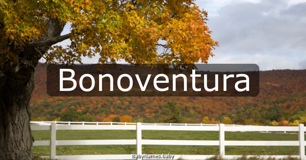 Bonoventura