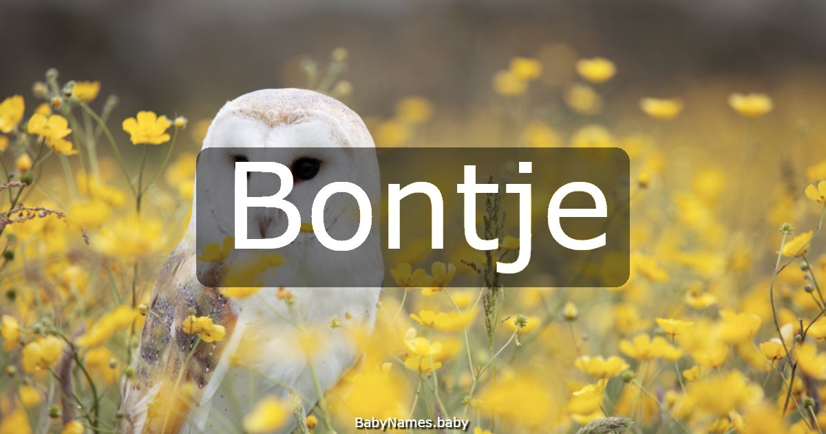 Bontje