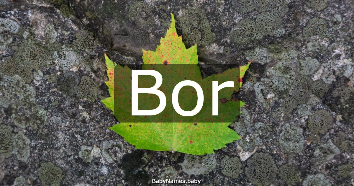Bor