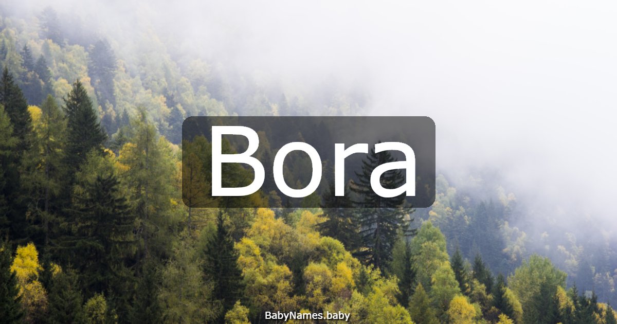 Bora