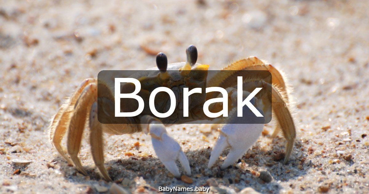 Borak