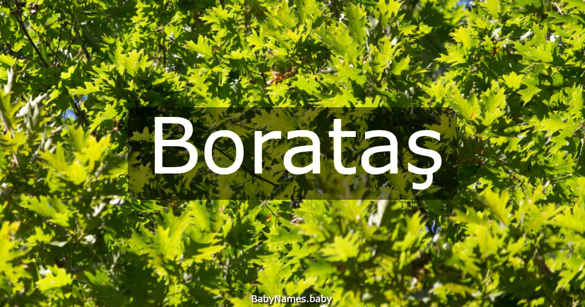 Borataş