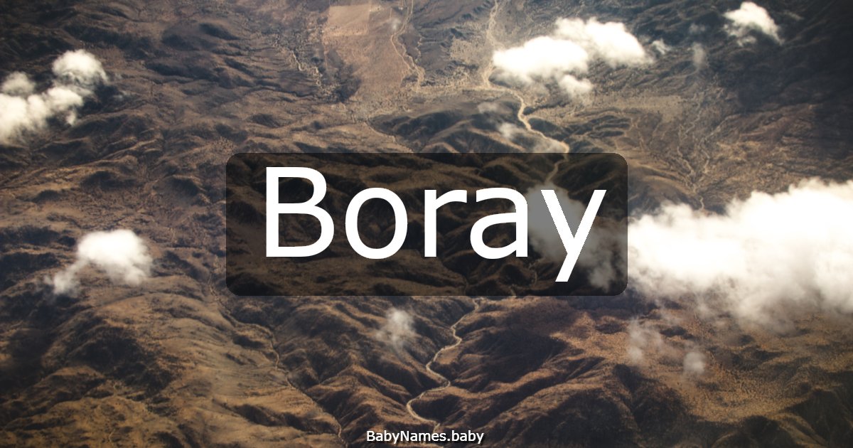 Boray