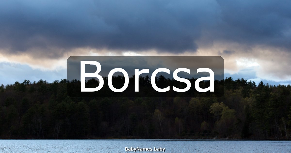 Borcsa