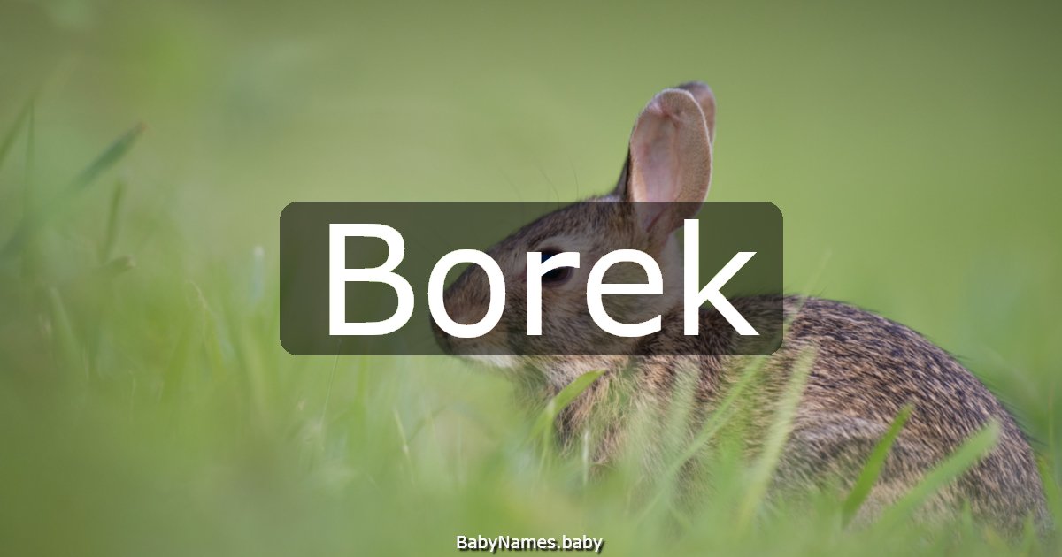 Borek