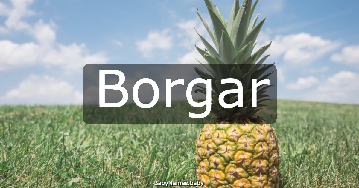 Borgar