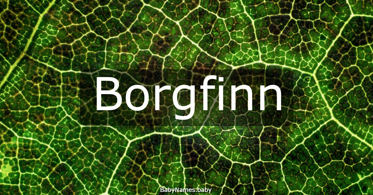 Borgfinn