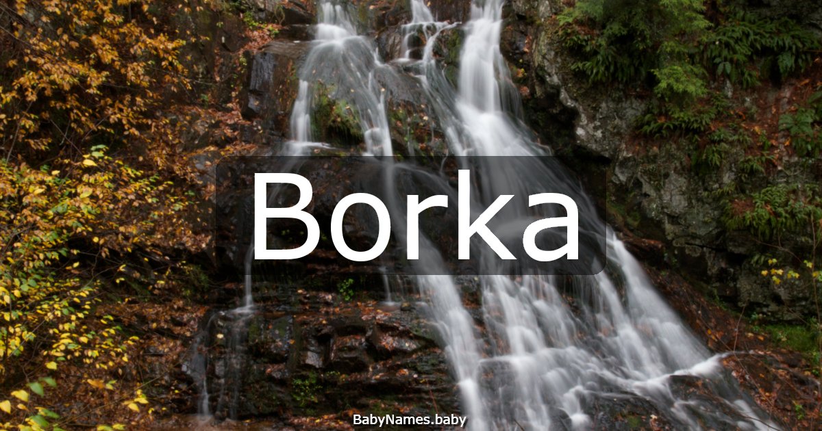 Borka
