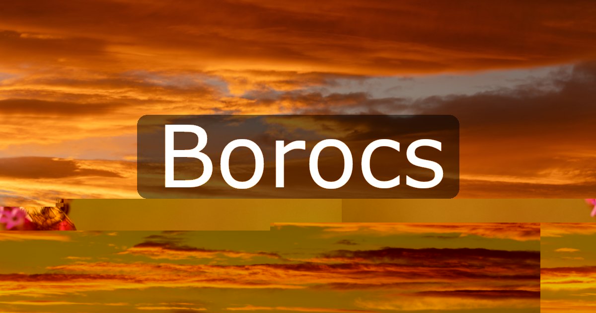 Borocs