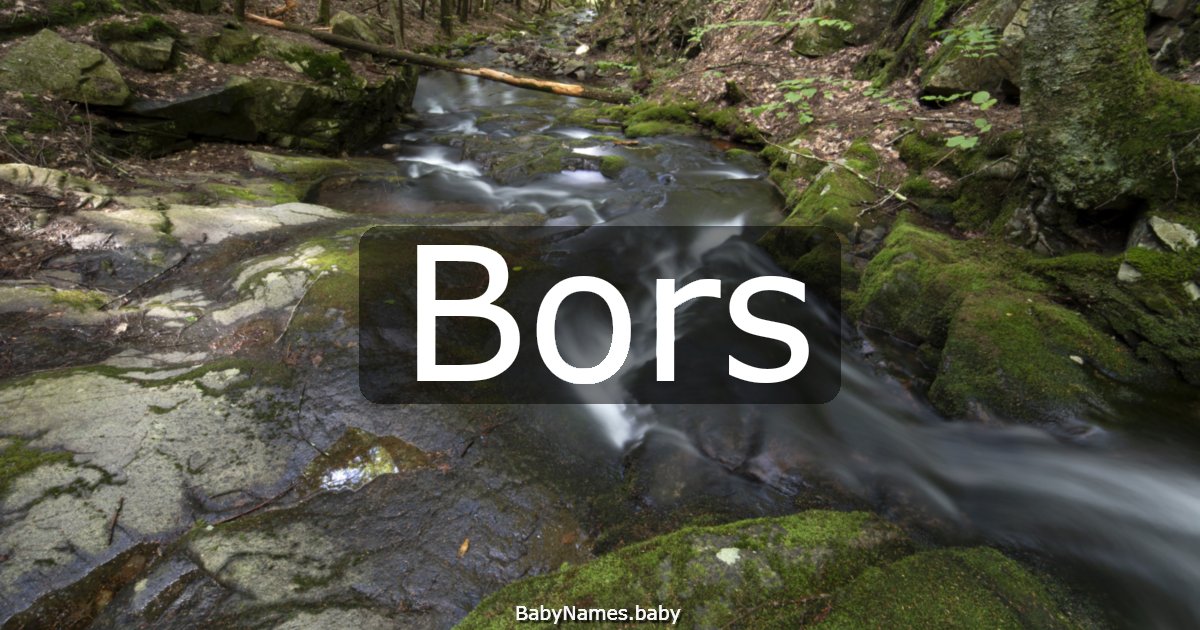 Bors