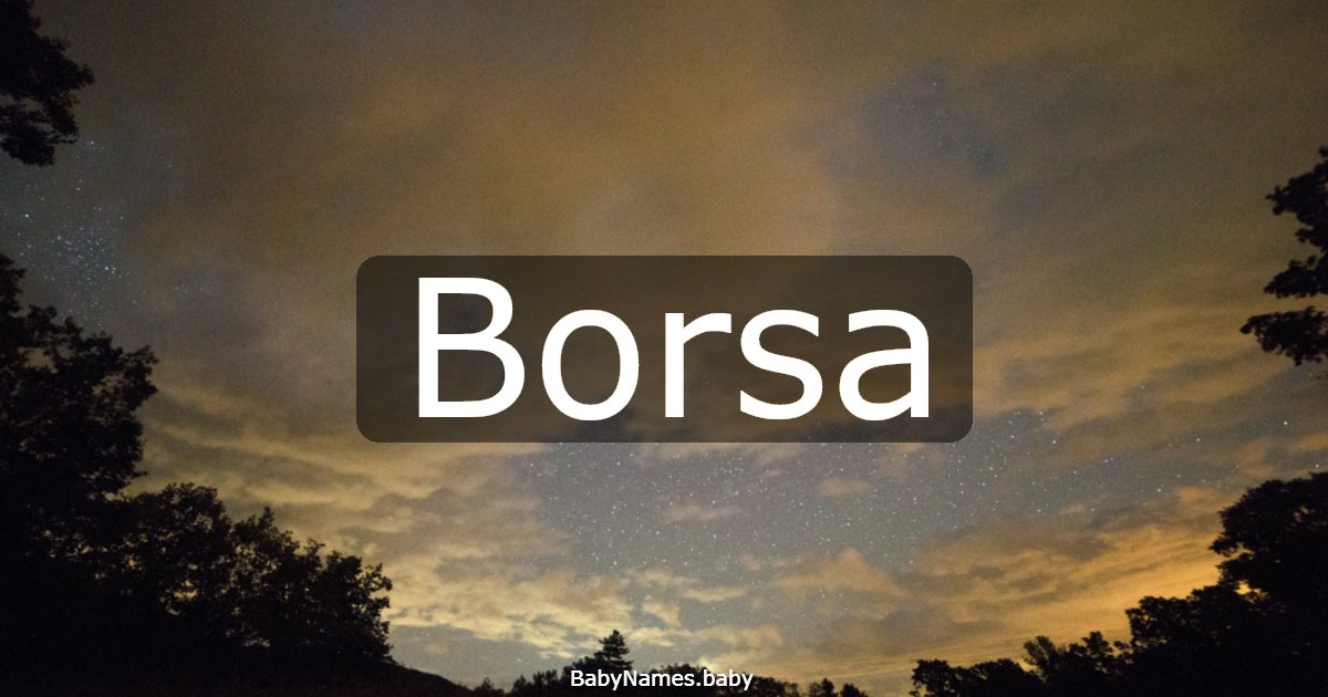 Borsa
